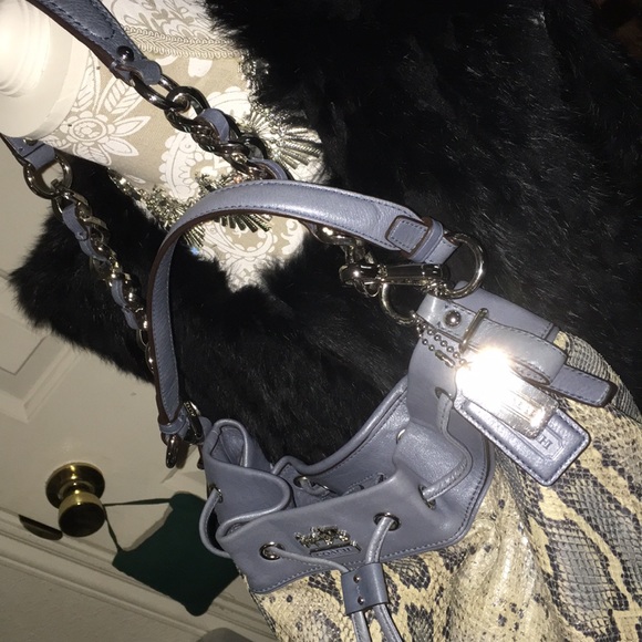 Host Pick 💙 Authentic Coach Limited Edition Blue Python 💙 - Picture 2 of 8